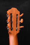 Furch Grand Nylon String Crossover Acoustic Guitar GNc4-CR EAS 48MM Nut Width