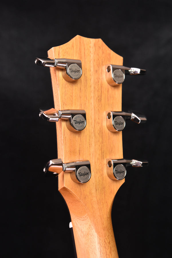 Taylor 217E-SB Plus  Acoustic Guitar