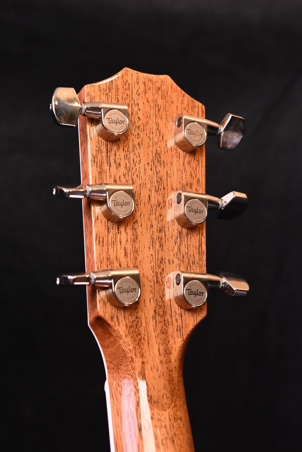 Taylor Legacy 810E Dreadnought  Acoustic Guitar