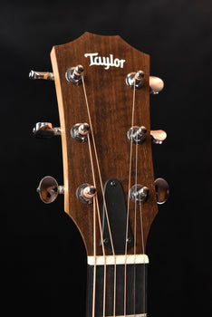 taylor 24ce sapele/ mahogany acoustic guitar