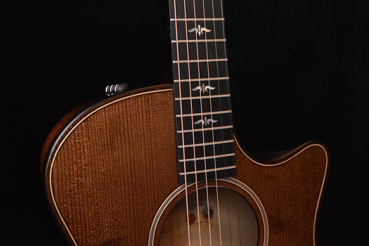 taylor 614ce builder's edition whb acoustic electric guitar