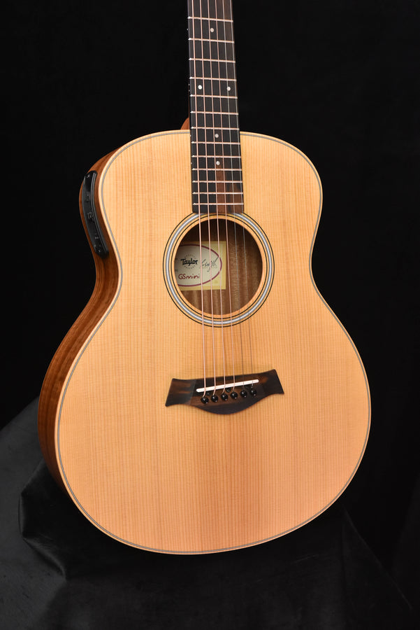 Taylor GS Mini-E LTD dreadnought-style acoustic guitar, pickguard and bridge