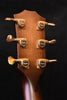 Taylor 614CE Builder's Edition WHB Acoustic Electric Guitar
