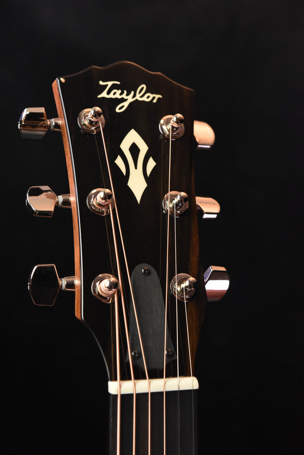 Taylor Gold Label 710E Indian Rosewood /Torrefied Sitka Spruce Acoustic Guitar