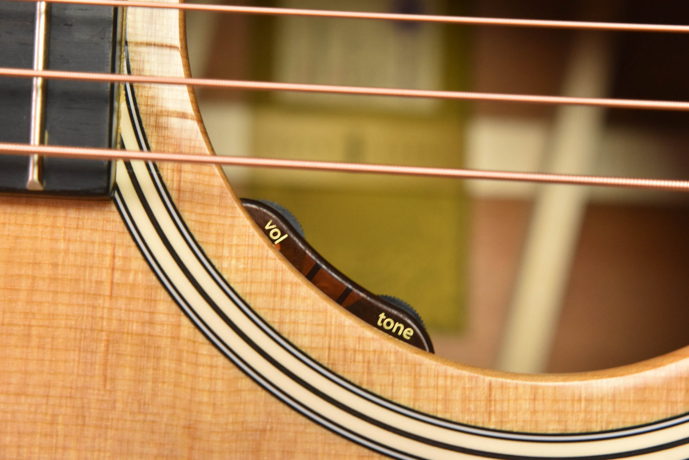 Taylor Gold Label 517E Acoustic Guitar Torrefied Sitka Spruce/ Mahogany Acoustic Guitar