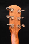 Taylor Gold Label 517E Acoustic Guitar Torrefied Sitka SPruce/ Mahogany Acoustic Guitar