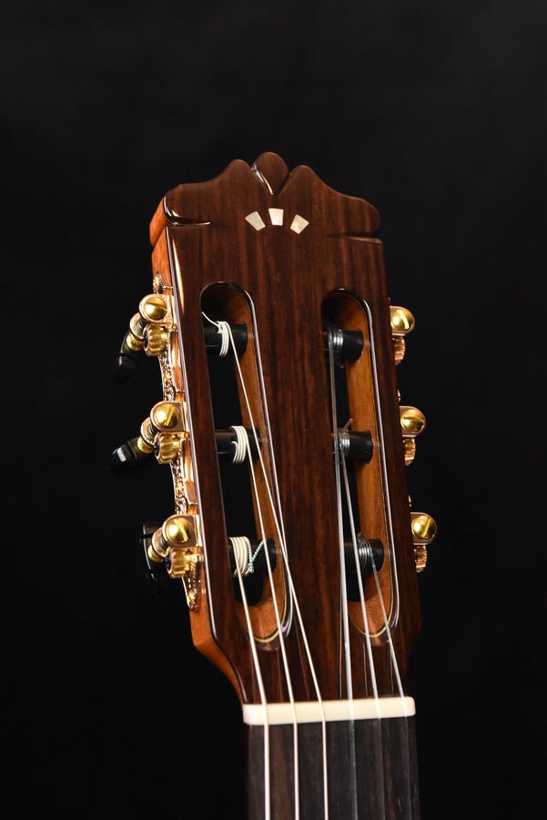 Cordoba C9 Parlor Cedar Top Classical Guitar with Case