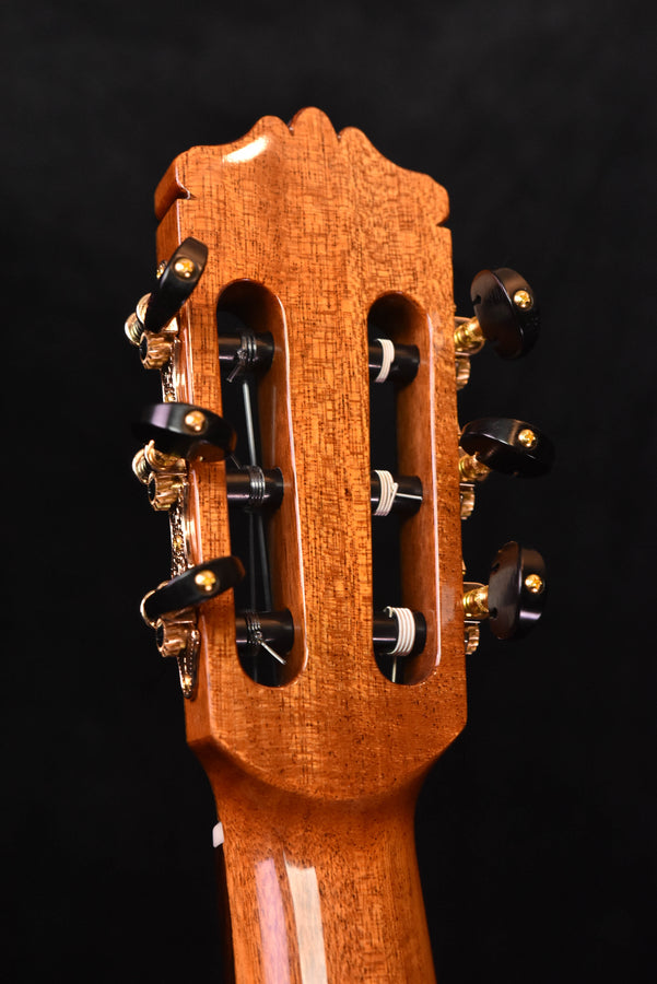 Cordoba C9 Parlor Cedar Top Classical Guitar with Case