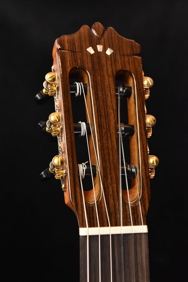 Cordoba C9 Classical Guitar Cedar Top with Polyfoam Case