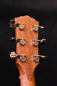 acoustic guitar headstock back with tuning pegs and taylor-engraved plates