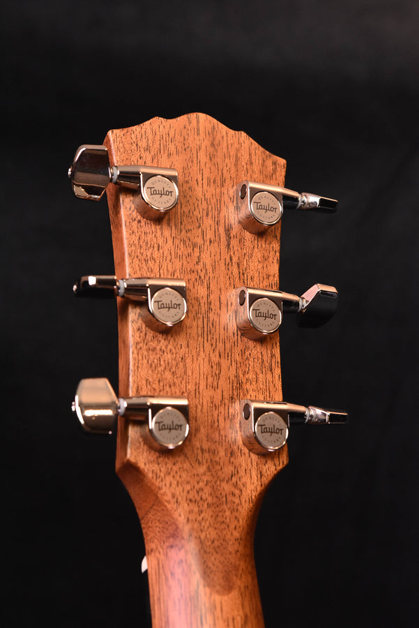 Acoustic guitar headstock back with tuning pegs and Taylor-engraved plates