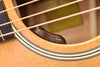 Taylor Gold Label 510E Mahogany and Torrefied Sitka Spruce Dreadnought Acoustic Guitar