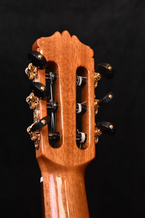 Cordoba C9 Classical Guitar Cedar Top with Polyfoam Case