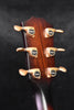 Taylor 324CE Builder's Edition  Urban Ash and Mahogany Acoustic Electric Guitar (Copy)