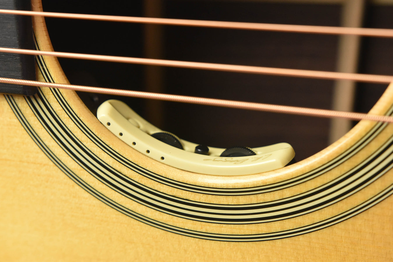 Martin HD-28ELRB Dreadnought Acoustic Guitar with LR Baggs Anthem Pickup