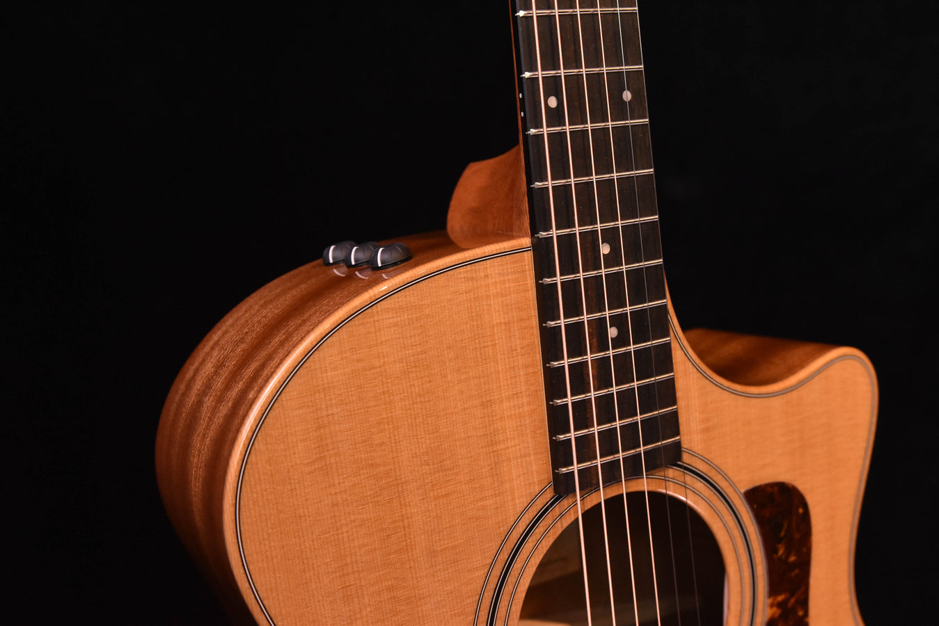 Taylor 314CE Studio Special Edition Acoustic Guitar