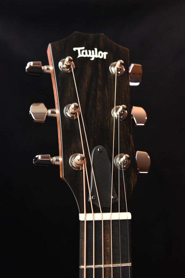 Taylor 314CE Studio Special Edition Acoustic Guitar