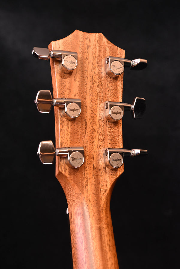 Taylor 314CE Studio Special Edition Acoustic Guitar