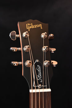 acoustic guitar headstock with chrome tuning pegs and logo, front view
