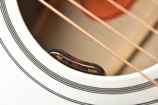rosette close-up with black volume and tone markings near the sound hole