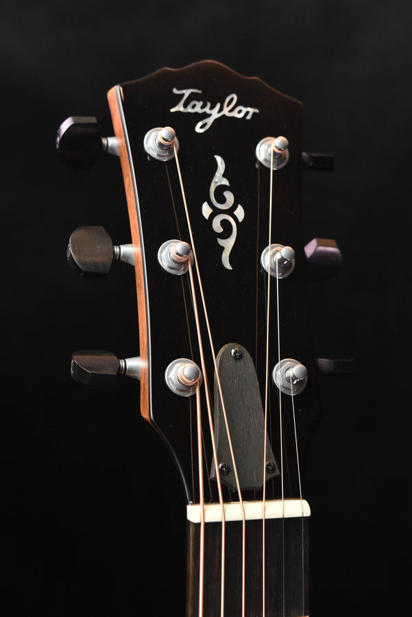 Taylor Gold Label 810E Honduran Rosewood and Torrefied Sitka Spruce Acoustic Guitar (Copy)