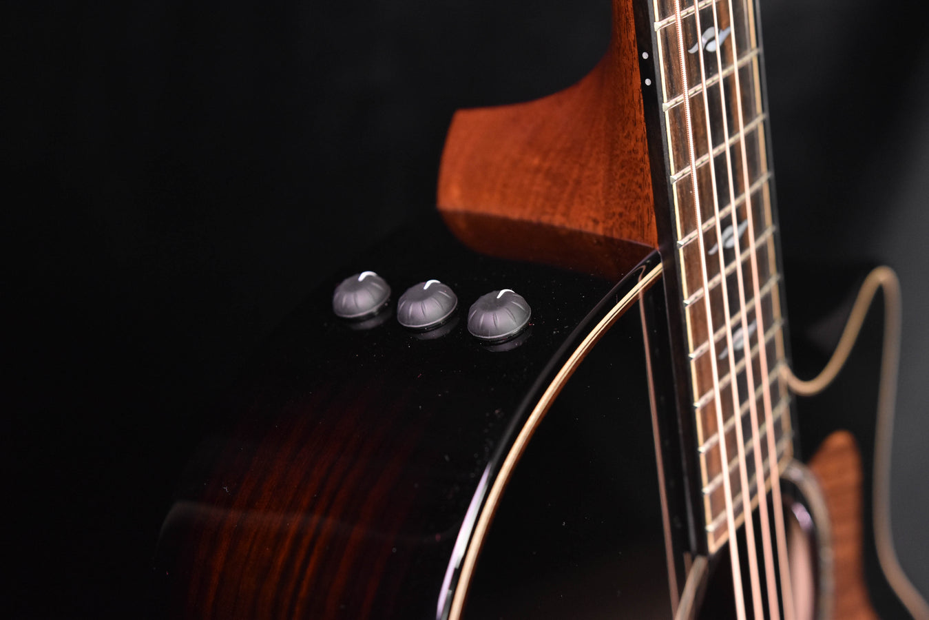 Taylor 814CE Builder's Edition Blacktop Acoustic Guitar- Adirondack Spruce top Top