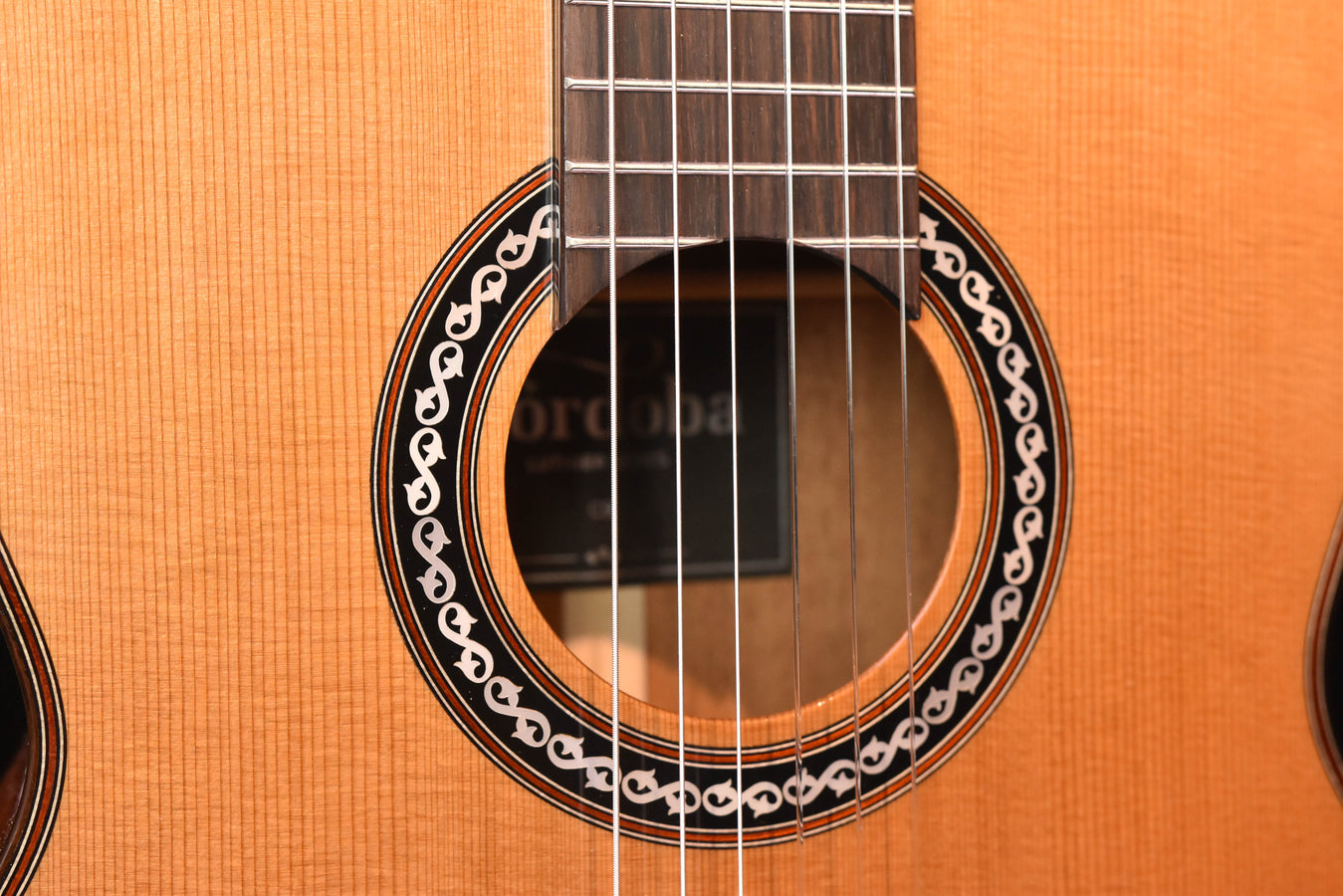 Cordoba C9 Classical Guitar Cedar Top with Polyfoam Case