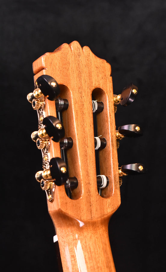 Cordoba C9 Classical Guitar Cedar Top with Polyfoam Case