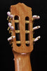 Cordoba C5 Spruce Top Classical Guitar