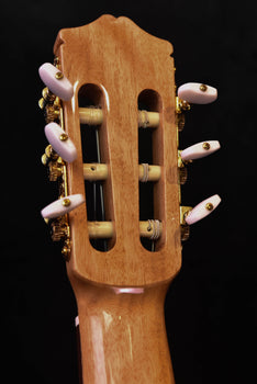 cordoba c5 spruce top classical guitar