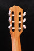 Taylor Academy 12E-N Acoustic Electric Nylon String Crossover Guitar