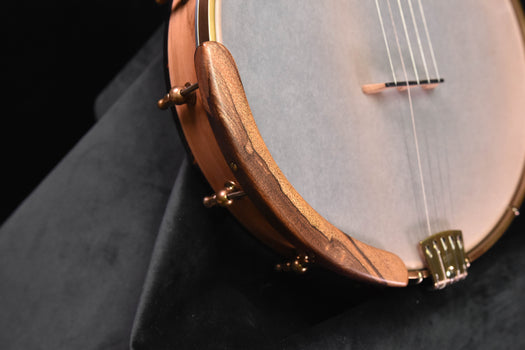 ome tupelo open back banjo and case