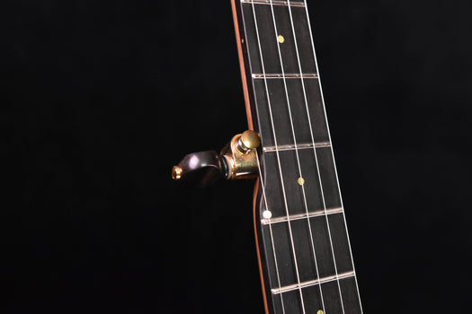 ome tupelo open back banjo and case