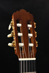 Yamaha GC32C Cedar Top Classical Guitar