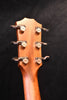 Taylor Next Gen 414CE Acoustic Guitar