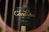 Cordoba Master Series "Rodriguez" Classical Guitar