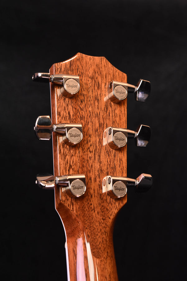 Taylor Legacy 810E Dreadnought  Acoustic Guitar