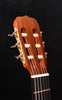 Flamenco guitar headstock and tuning pegs, warm wood finish, dark fretboard