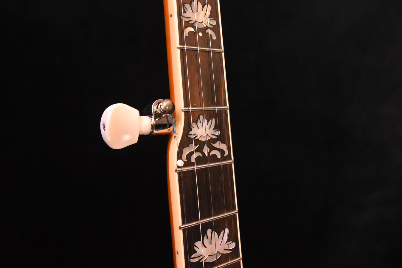 Recording King Lonesome Dove Carl Jackson Signature Tone Ring Five String Banjo