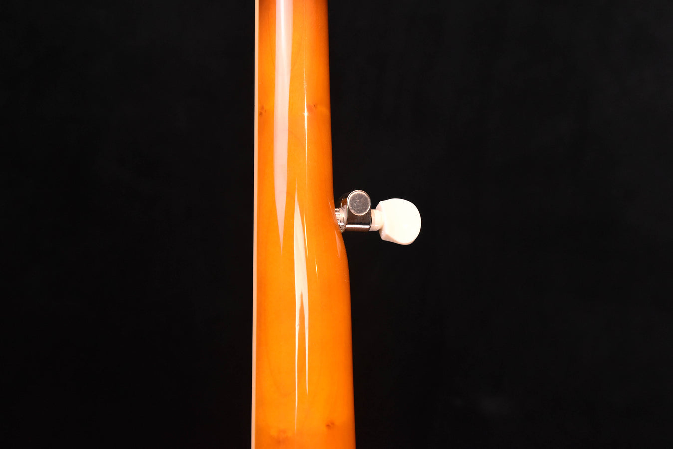 Recording King Lonesome Dove Carl Jackson Signature Tone Ring Five String Banjo