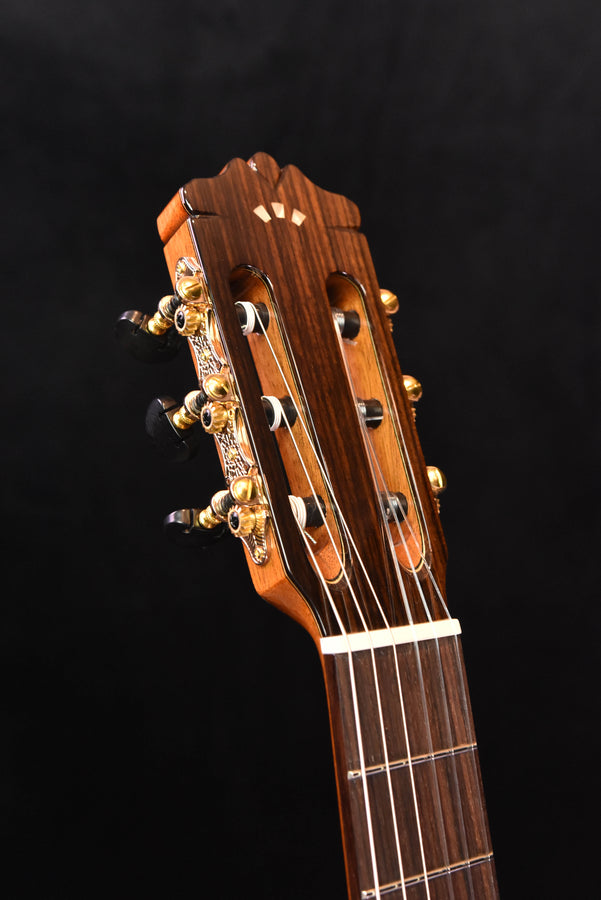 Cordoba C9 Parlor Cedar Top Classical Guitar with Case