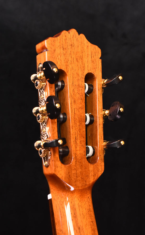 Cordoba C9 Parlor Cedar Top Classical Guitar with Case