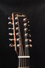 Boucher Studio Goose  12 String OM Mahogany Fishman Matrix Infinity Pickup SG12-41-E