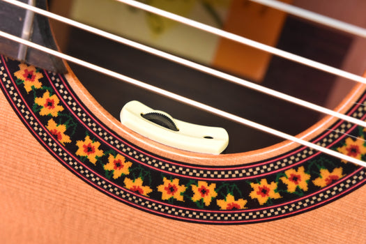 jose ramirez 140cwe-c cutaway classical guitar with lr baggs pickup