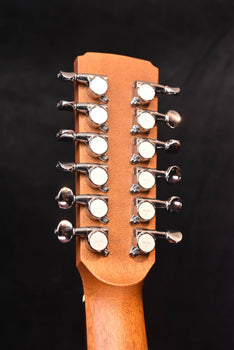 boucher studio goose  12 string om mahogany fishman matrix infinity pickup sg12-41-e