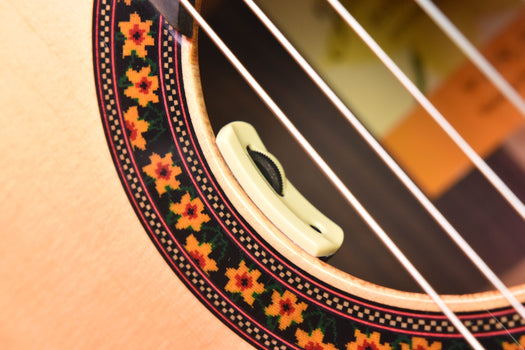 close-up of decorative rosette and soundhole pickup with visible pickup grille