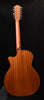 Honeyburst 12-string acoustic guitar back view with headstock and strings