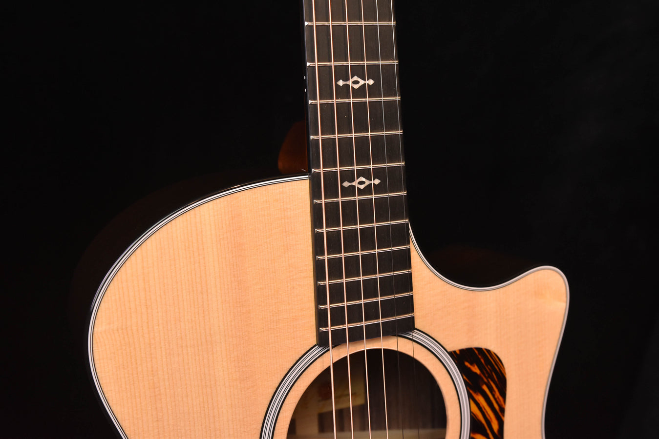 Acoustic guitar neck and upper body with fretboard markers and soundhole rosette
