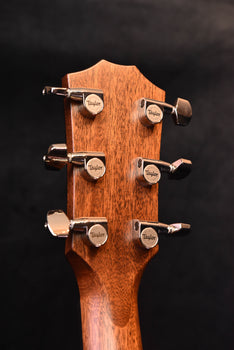 acoustic guitar headstock close-up with tuning machines and taylor logo