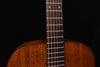 Martin acoustic guitar neck close-up showing frets and dot inlays